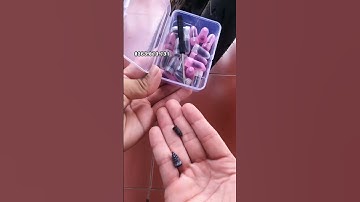 BỘ VÍT VÁ LỐP Ô TÔ , XE MÁYSILICON NHẬT BẢN CAO CẤP