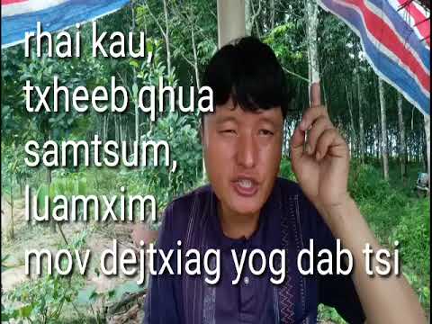 Video: Hexadecimal format yog dab tsi?