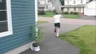 The chase 2