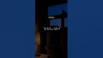 القرآن الكريم 🫀🎧 #اكسبلور #القران_الكريم #دويتو #المصحف #قران #duet