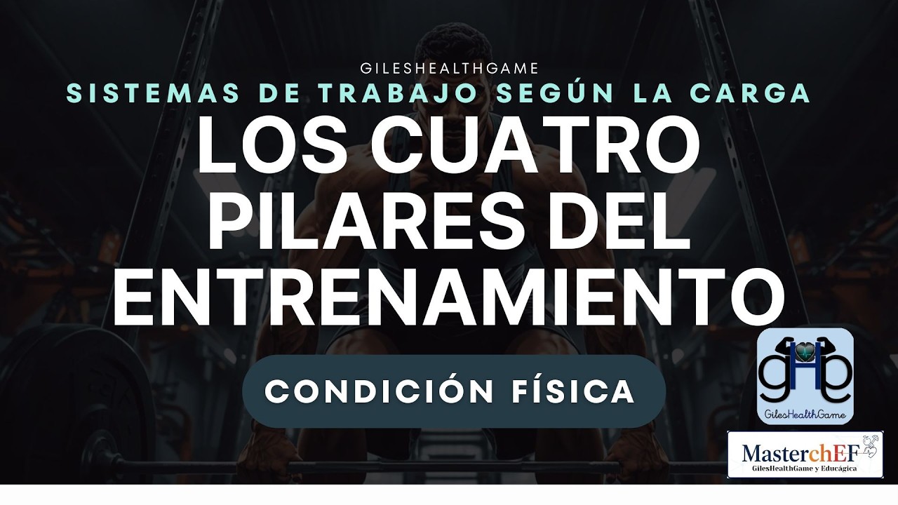 Los 4 pilares del entrenamiento