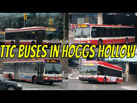 TTC Buses in Hoggs Hollow Compilation (February 2021)