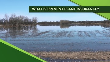 Ag PhD Show #1109 Farm Basics (Prevent Plant Insurance)