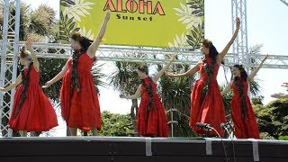 Lei Lehua　Lei Alohi　vol.1　ALOHA Sunset 2019