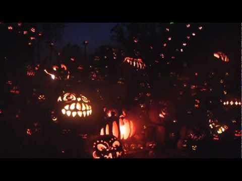 Thousands of pumpkins at Jack-O-Lantern Spectacular