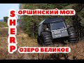 На Шерпе через Оршинский мох. Дошли до озера Великое.