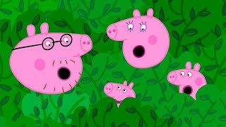 Lost In The Hedge Maze 🌳 | Peppa Pig Tales Full Episodes by Peppa Pig Tales 67,270 views 1 month ago 32 minutes