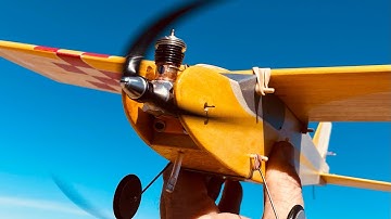 Pageboy by Ken Willard - Cox .020 Powered