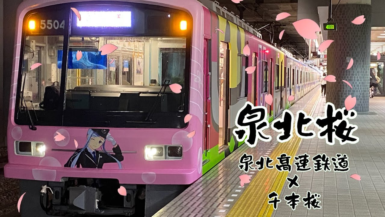 【鉄道の日】泉北桜(泉北高速鉄道×千本桜)
