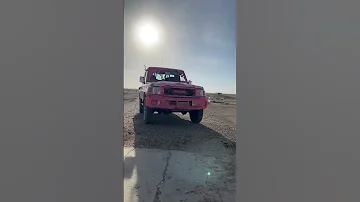 شاص 2024 2023 تطعيس 