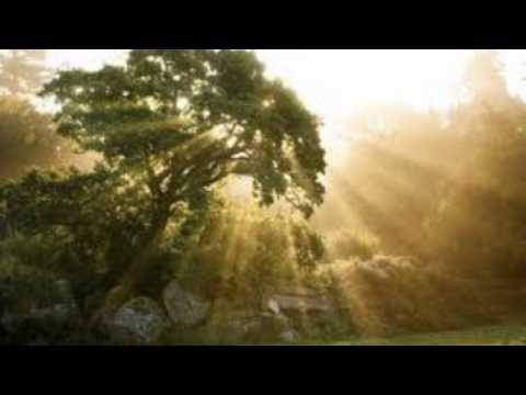 Casting Crowns-Already There