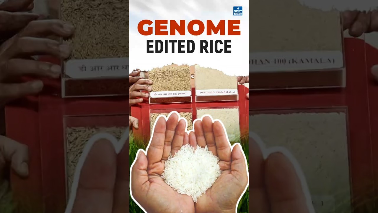 Genome Edited Rice | Indian Council of Agriculture Research | Daily News Analysis | DNA Shorts 