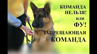 г.Набережные Челны.Дрессировка собак.ОКД.. г.Набережные Челны.Дрессировка собак.ОКД..