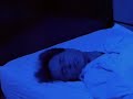 Today On Power Rangers Crystal Of Nightmares 