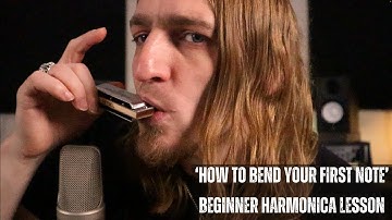 Beginner Harmonica Lesson -  