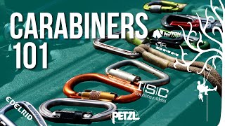 Which Carabiner is best?| Choosing the right one for every situation| Beginner to Expert Guide