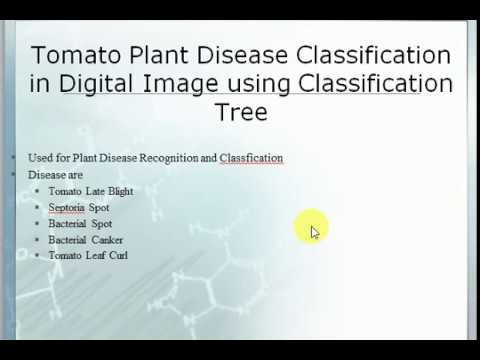Tomato Plant Disease Classification using Digital Image Processing
