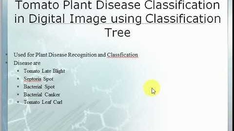 Tomato Plant Disease Classification using Digital Image Processing