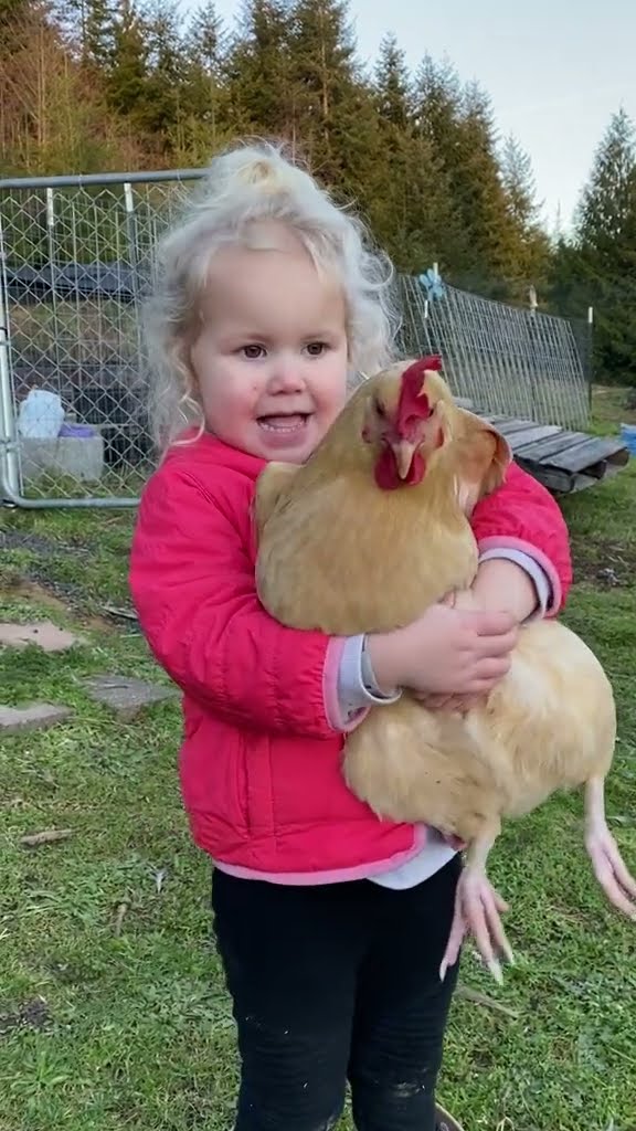 This Toddler Loves Chickens || ViralHog
