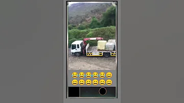 علي الحلال زلمة لمن دايخ 