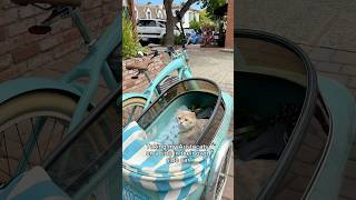 Taking my cats biking in California’s prettiest town
