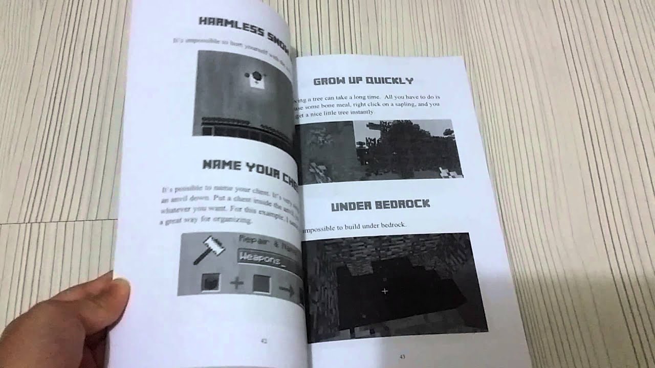 (Minecraft secret book)furious destroyer YouTube