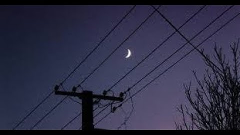 late night vibes | escape reality playlist