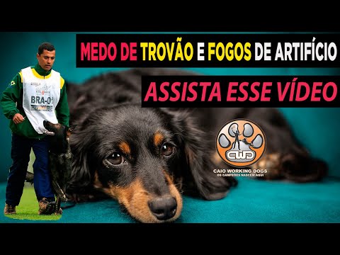 Vídeo: Estenose canina