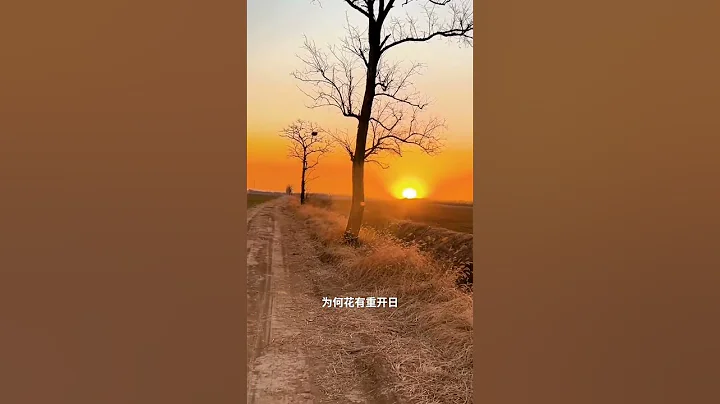翻越群山峻岭只為看清晨的第一縷美景    詩性大發 - 天天要聞