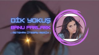 Banu Parlak - Dik Yokuş Metehan Ütebay Remix 