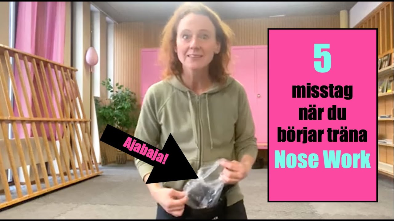 Fem vanliga misstag när du börjar med Nose Work