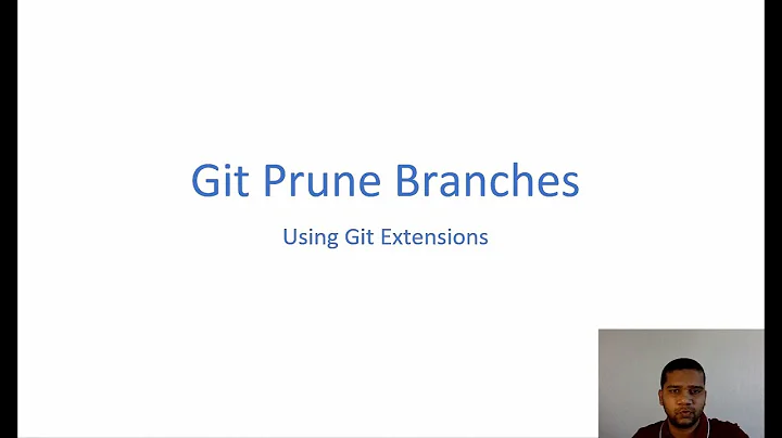 17 - Git Prune Branches using GitExtentions