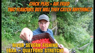 Barbel Fishing with Chick Peas (BAA Stretch - Quatford) Short Session.