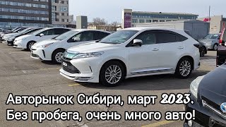Авторынок Сибири, Иркутск, март 2023. Очень много авто, без пробега на любой вкус!