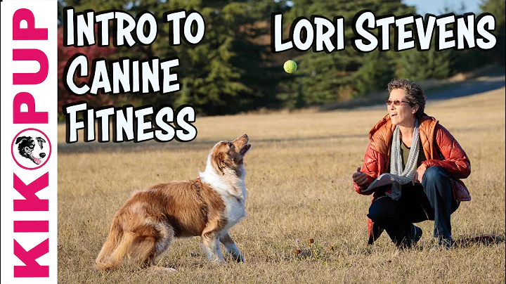 Intro to Canine Fitness by Expert Lori Stevens