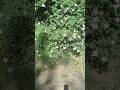 #forest #lake #naturewalk #health #food #netflix #plants #adventure #2026 #fashion #flowers