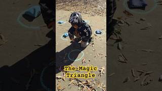 Homeschool Math: Magic Triangle #outwiththeabcs #homeschooling #homeeducation #geometry #clt #704 Homeschool Math: Magic Triangle #outwiththeabcs #homeschooling #homeeducation #geometry #clt #704
