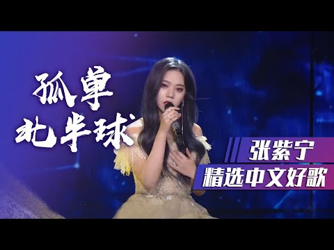 火箭少女101张紫宁温柔演绎《孤单北半球》[精选中文好歌] | 中国音乐电视 Music TV