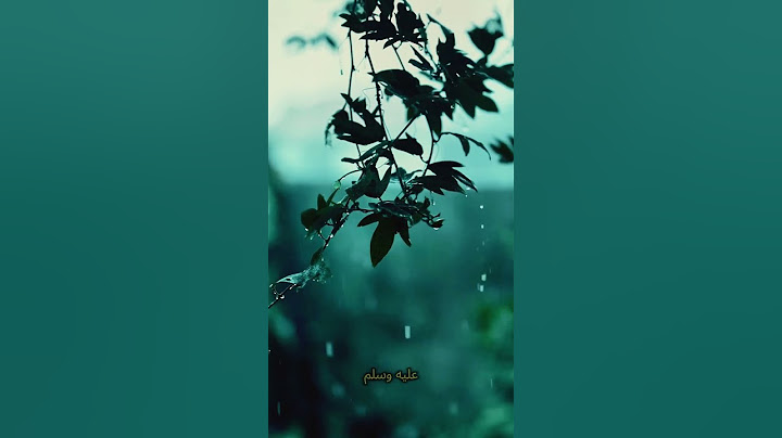 عندما بكي رسول الله ﷺ وأبكي من حوله #محمد #النبي #بكاء الرسول #ترند #الصحابة #آمنة بنت وهب #قبر
