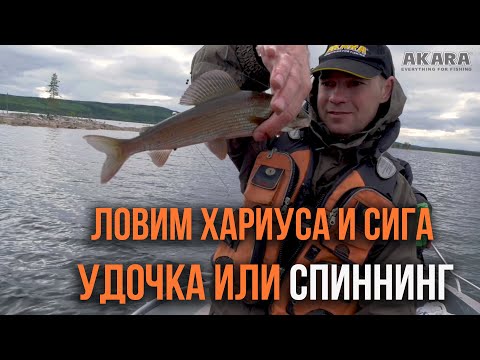 Поплавочная удочка или спиннинг для ловли сига и хариуса. Что лучше?