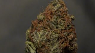 Northern Lights (Close Up 1080p)