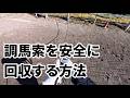 調馬索を回収する方法【乗馬・馬術】【HorseCommunicationJapan】
