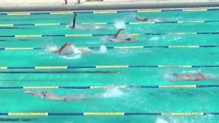 男子五十米背泳 20130908-1
