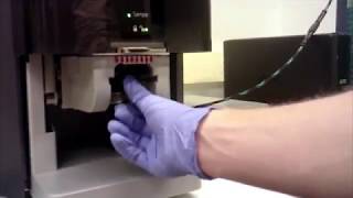 2. SEM Sample Prep