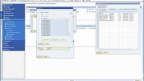 DEFINING SPECIAL PRICES IN SAP BUSINESS ONE