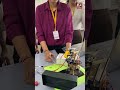 Pillai College of Engineering | EXTC students | Project Exhibition