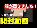 ある日届いた箱の中にまさかのモノが入っていた!