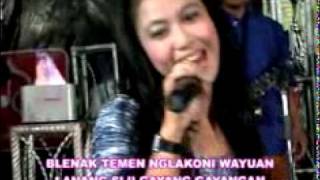 diana sastra-Ngadu telu.mp4