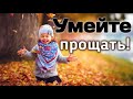 Трогательные стихи для души до слез о жизни"Мы друг друга слишком часто не прощаем…" Умейте прощать!