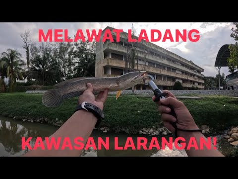 LEPAS HUJAN LEBAT DIA JADI RAMAH!!! (LADANG HARUAN)